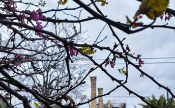 kairos 3 2 1200x630.jpg