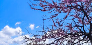 kairos 3 4 1200x630.jpg