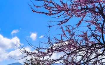 kairos 3 4 1200x630.jpg