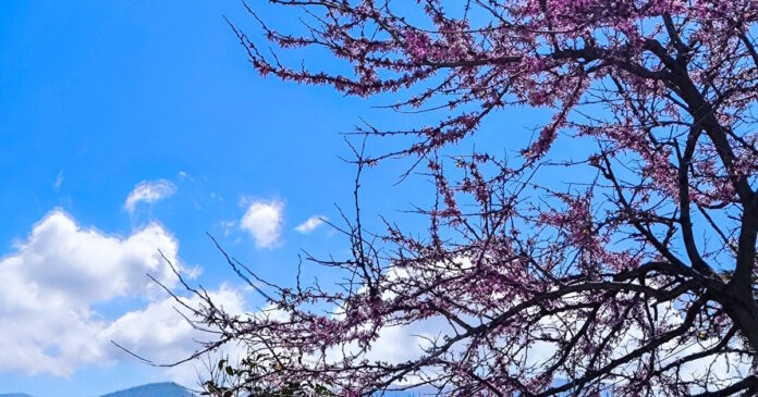 kairos 3 4 1200x630.jpg