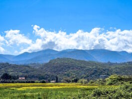 kairos 6 1200x630.jpg