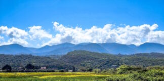 kairos 6 1200x630.jpg