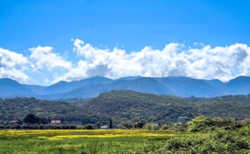 kairos 6 1200x630.jpg