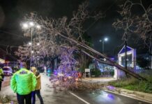 kairos ptosi dentrou 1200x630.jpg