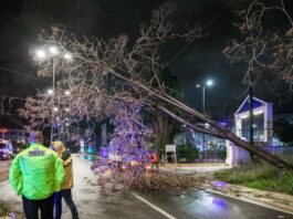 kairos ptosi dentrou 1200x630.jpg