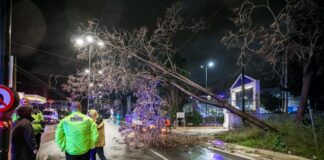 kairos ptosi dentrou 1200x630.jpg