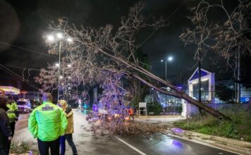 kairos ptosi dentrou 1200x630.jpg