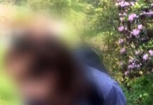 kathigitria narkwtika kallithea 1200x630.jpg