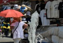 kausonas 1 1200x630.jpg