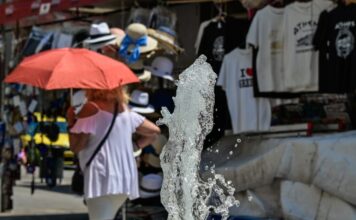 kausonas 1 1200x630.jpg