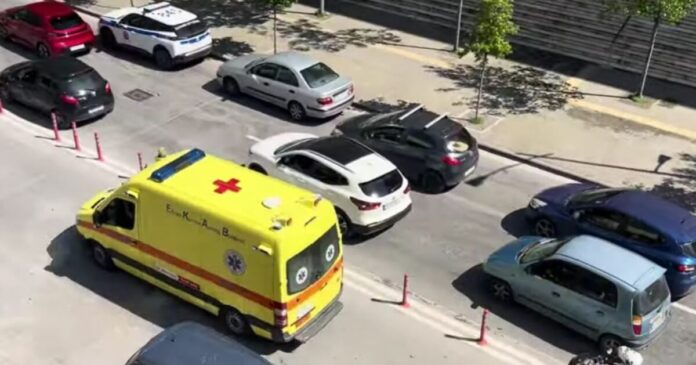 kozani paidi 1 1200x630.jpg