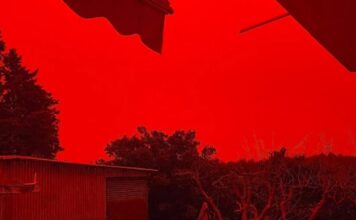 kriti afrikaniki skoni 1200x630.jpg