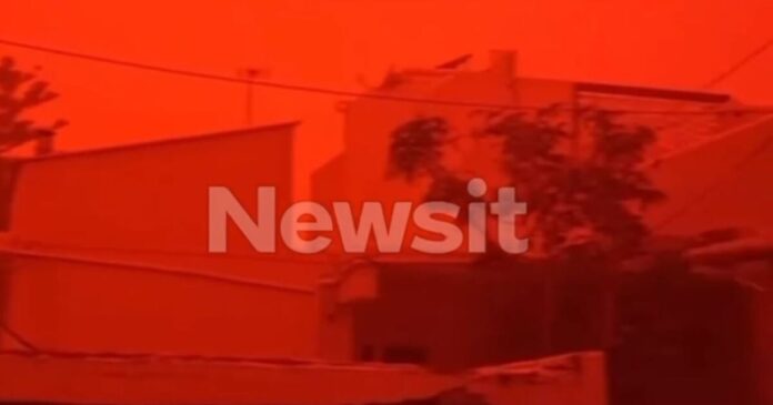 kriti afrikaniskonirethymno 1200x630.jpg