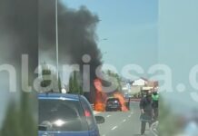 larisa troxaio fwtia 1200x630.jpg