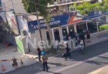 liosion 1 1200x630.jpg