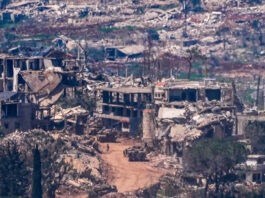 livano 2 1200x630.jpg