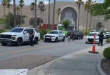 luisiana 1200x630.jpg