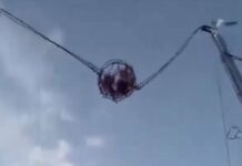 luna park 1200x630.jpg