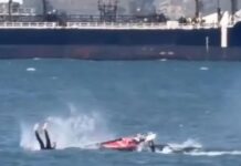 man whale 1200x630.jpg