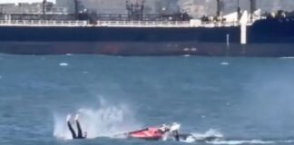 man whale 1200x630.jpg