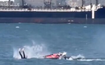 man whale 1200x630.jpg