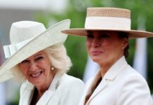 melania camilla 1 1200x630.jpg