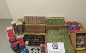 menidi krotides elas3 1200x630.jpg