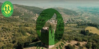 messenger creation 5fc9102b 10af 4c32 8a0f ace1e9c4513e 1200x630.jpeg