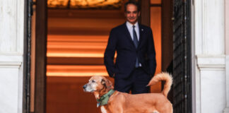 mitsotakis4 1200x630.jpg