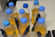 molotov 1200x630.jpg