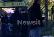 nekros pallini1 1200x630.jpg