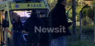 nekros pallini1 1200x630.jpg