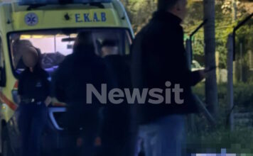 nekros pallini1 1200x630.jpg