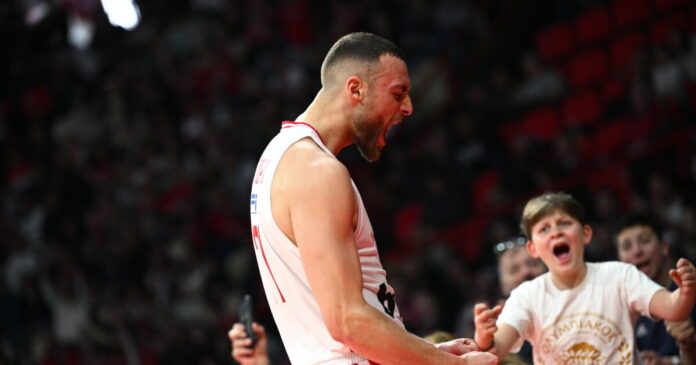 netzipoglou 1 1200x630.jpg