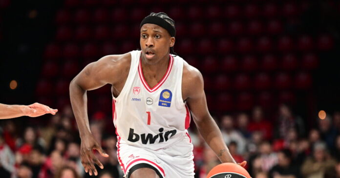 nilikina 1200x630.jpg