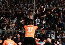 ofiopadoi 1200x630.jpg