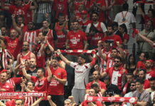 olyfans 1200x630.jpg