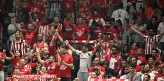 olyfans 1200x630.jpg