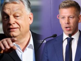 orban magyar 1200x630.jpg