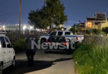 pallini2 06042026 1200x630.jpg