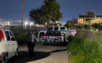 pallini2 06042026 1200x630.jpg