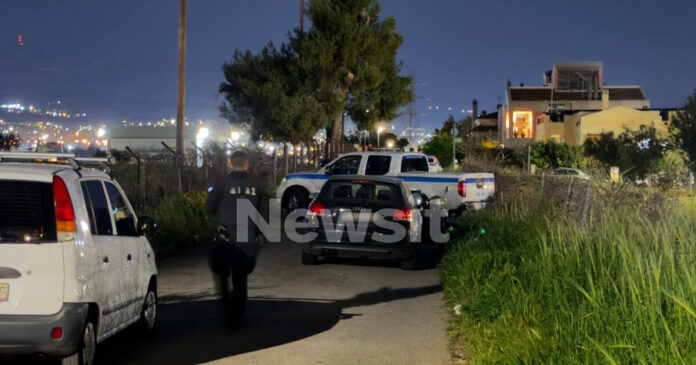 pallini2 06042026 1200x630.jpg