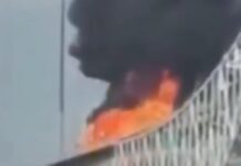 panamas x 1200x630.jpg