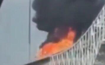 panamas x 1200x630.jpg