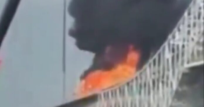 panamas x 1200x630.jpg