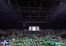 pao kosmos 1200x630.jpg