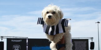paok 5 1 1200x630.jpg