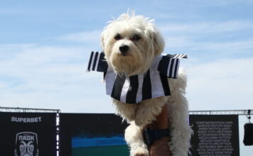 paok 5 1 1200x630.jpg