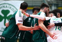 paovolley 1200x630.jpg