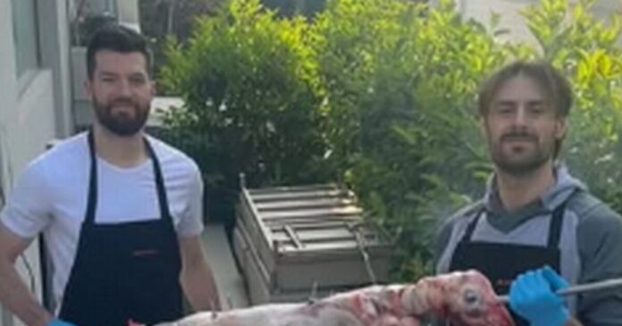 papas 1200x630.jpg papas 1200x630.jpg